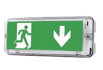 Аварийный светодиодный светильник GEMINI LED
